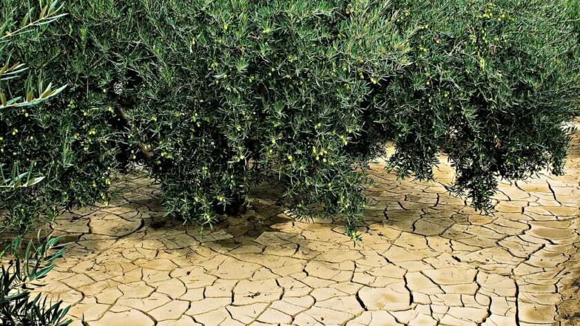 España y Portugal piden ayuda europea para combatir la sequía