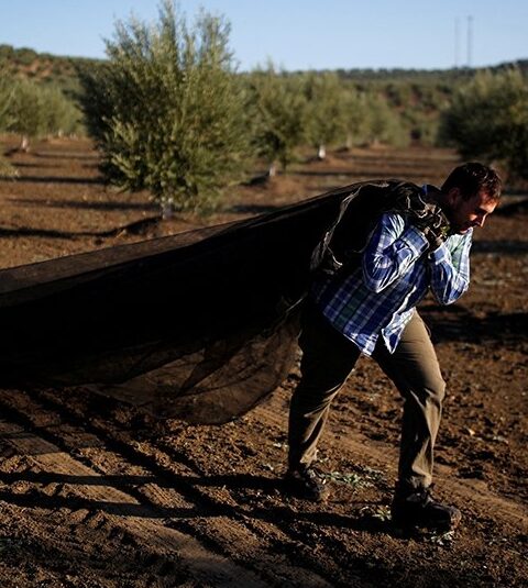 Se profundiza la crisis agraria en España