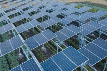 agricultura y placas solares