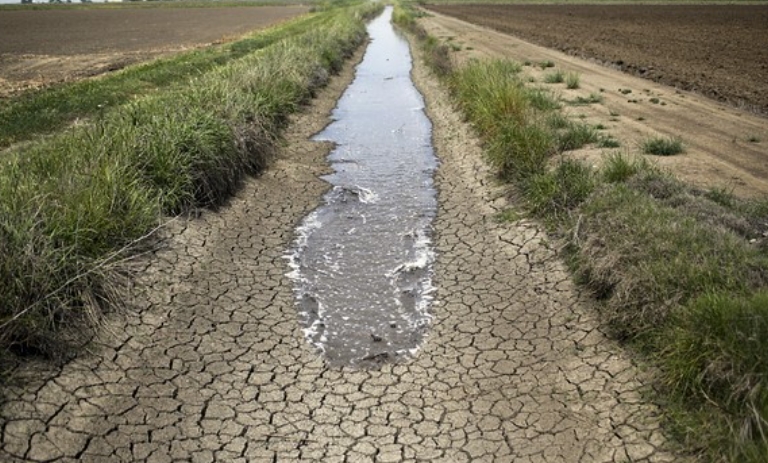 375.000 millones de euros de pérdidas por la sequía