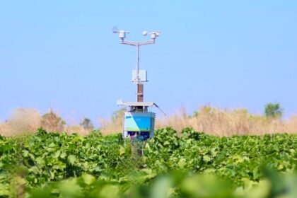 La india Agritech Fyllo se asocia con la española Terraview para revolucionar la agricultura de precisión